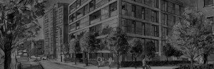 Crossier Properties - About Us - Management Team
