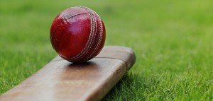 Supporting the local Osterley Cricket Club